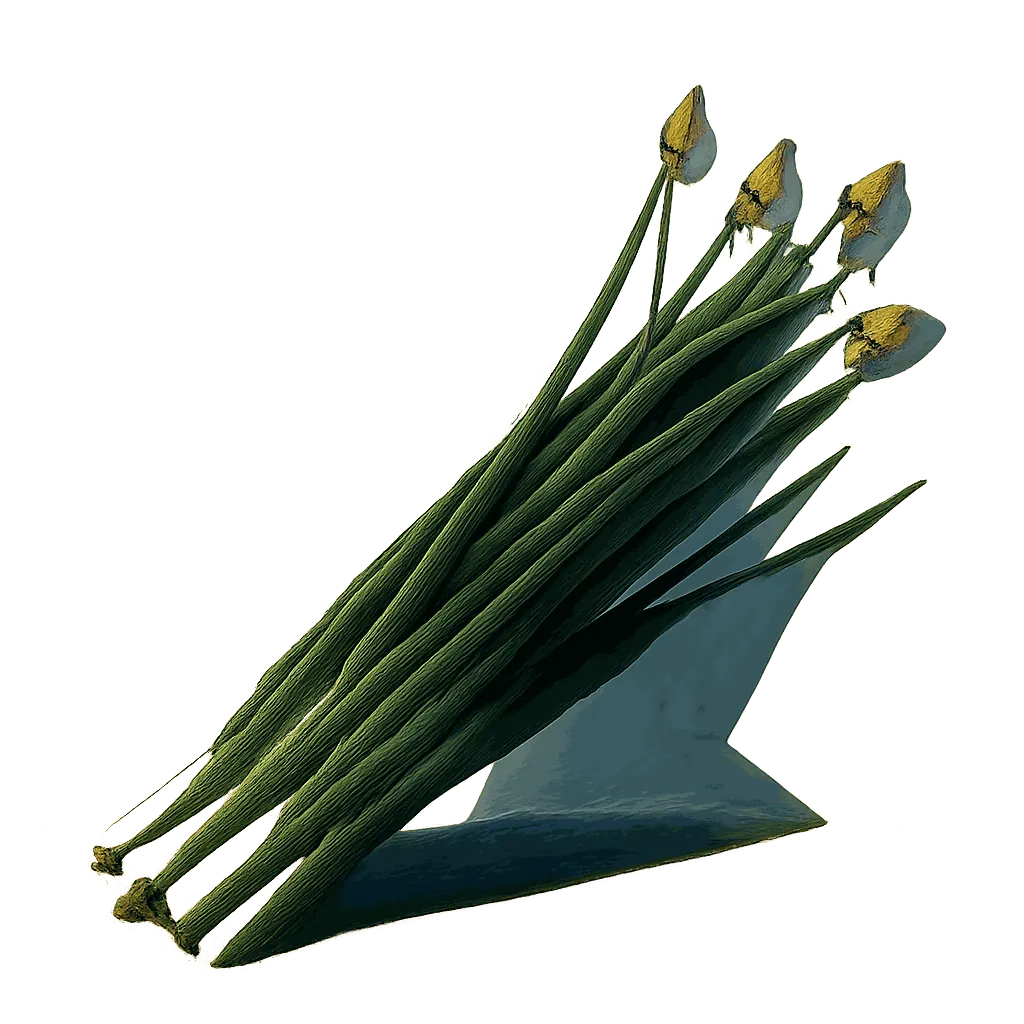Garlic chives